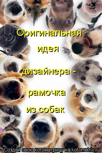 Оригинальная идея рамочка из собак дизайнера -... Котоматрица: Оригинальная идея рамочка из собак дизайнера -