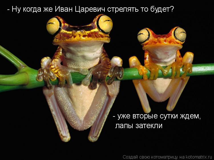 - Ну когда же Иван Царевич стрелять то будет? - уже вторые сутки ждем, лапы затекли... Котоматрица: - Ну когда же Иван Царевич стрелять то будет? - уже вторые сутки ждем, лапы затекли
