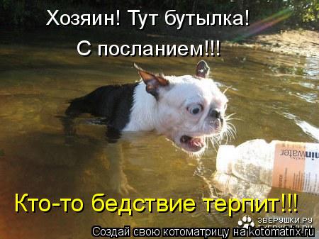 Хозяин! Тут бутылка! С посланием!!! Кто-то бедствие терпит!!!... Котоматрица: Хозяин! Тут бутылка! С посланием!!! Кто-то бедствие терпит!!!
