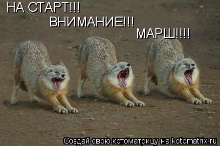 на старт внимание марш картинки онлайн
