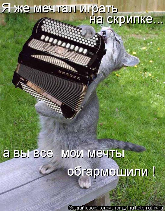 Я же мечтал играть на скрипке... а вы все мои мечты обгармошили !... Котоматрица: Я же мечтал играть на скрипке... а вы все мои мечты обгармошили !