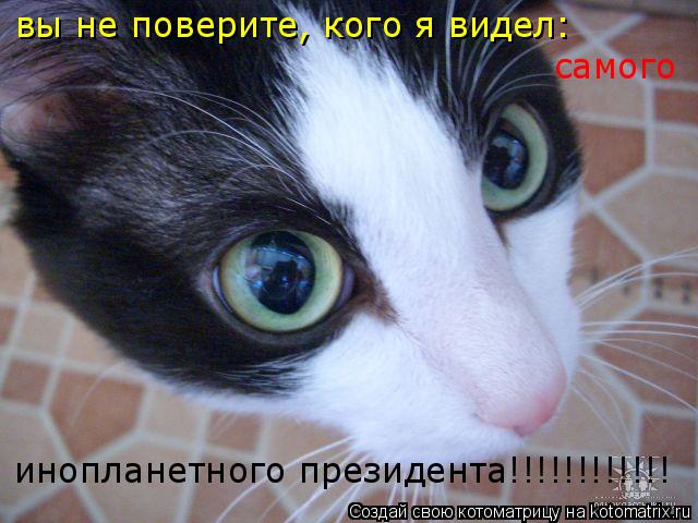 инопланетного президента!!!!!!!!!!!! вы не поверите, кого я видел: самого... Котоматрица: инопланетного президента!!!!!!!!!!!! вы не поверите, кого я видел: самого