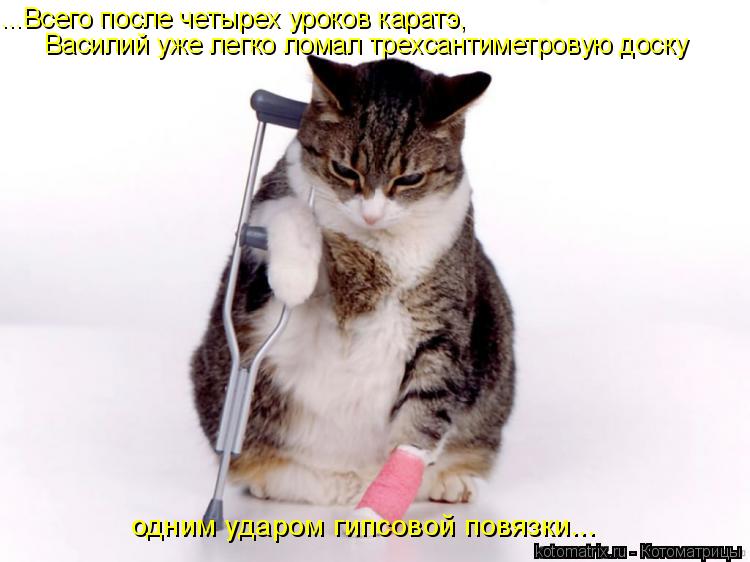 ...Всего после четырех уроков каратэ, Василий уже легко ломал трехсантиметровую доску одним ударом ги... Котоматрица: ...Всего после четырех уроков каратэ, Василий уже легко ломал трехсантиметровую доску одним ударом гипсовой повязки...
