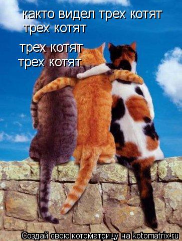 както видел трех котят трех котят трех котят трех котят... Котоматрица: както видел трех котят трех котят трех котят трех котят