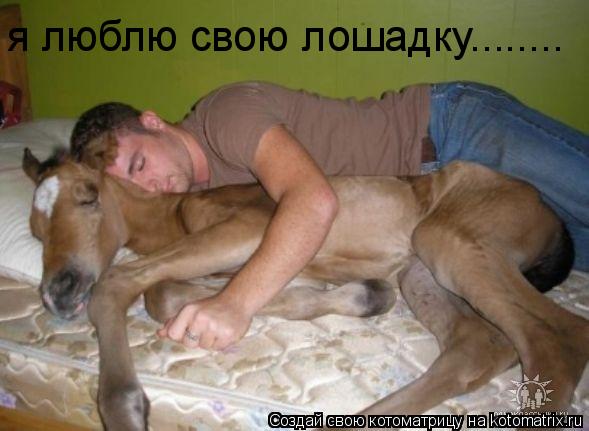 я люблю свою лошадку........... Котоматрица: я люблю свою лошадку........