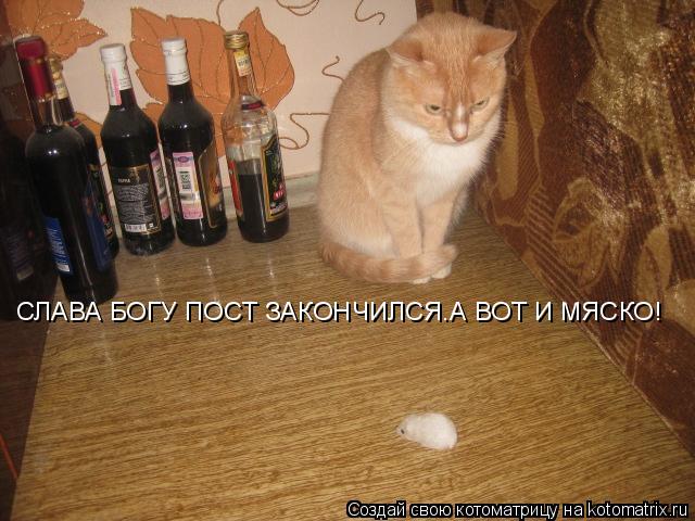 СЛАВА БОГУ ПОСТ ЗАКОНЧИЛСЯ.А ВОТ И МЯСКО!... Котоматрица: СЛАВА БОГУ ПОСТ ЗАКОНЧИЛСЯ.А ВОТ И МЯСКО!