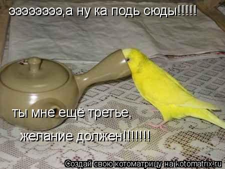 ээээээээ,а ну ка подь сюды!!!!! ты мне ещё третье, желание должен!!!!!!!... Котоматрица: ээээээээ,а ну ка подь сюды!!!!! ты мне ещё третье, желание должен!!!!!!!