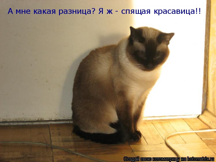 Скачать музыку натали красавица не красавица какая разница