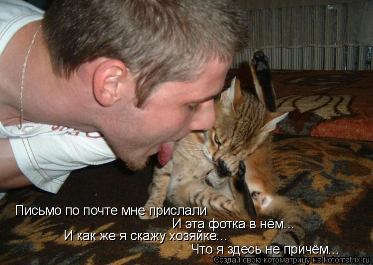 Письмо по почте мне прислали И эта фотка в нём... И как же я скажу хозяйке... Что я здесь не причём..... Котоматрица: Письмо по почте мне прислали И эта фотка в нём... И как же я скажу хозяйке... Что я здесь не причём...