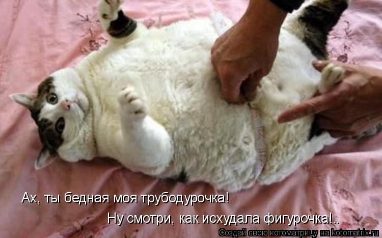 Ах, ты бедная моя трубодурочка! Ну смотри, как исхудала фигурочка!..... Котоматрица: Ах, ты бедная моя трубодурочка! Ну смотри, как исхудала фигурочка!..
