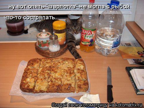 ну вот опять "шарлотка".не могла с рыбой что-то состряпать.... Котоматрица: ну вот опять "шарлотка".не могла с рыбой что-то состряпать.