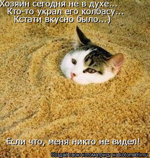 Котоматрица: Хозяин сегодня не в духе... Если что, меня никто не видел! Кто-то украл его колбасу... Кстати вкусно было...)