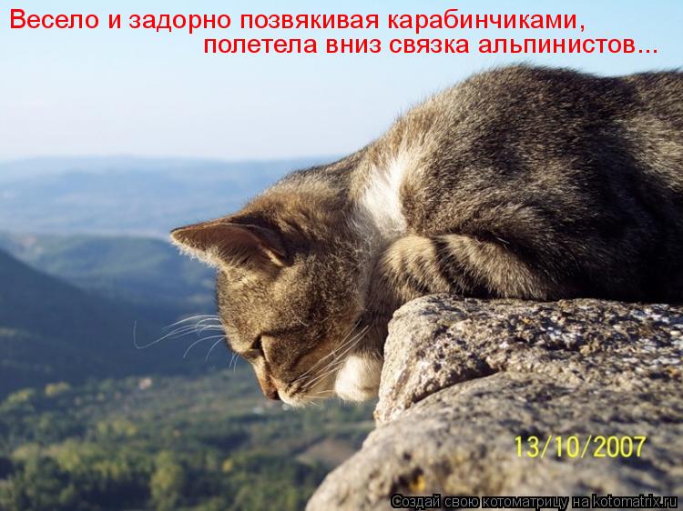 Весело и задорно позвякивая карабинчиками, полетела вниз связка альпинистов...... Котоматрица: Весело и задорно позвякивая карабинчиками, полетела вниз связка альпинистов...