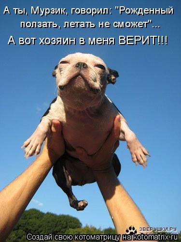 А ты, Мурзик, говорил: "Рожденный ползать, летать не сможет"... А вот хозяин в меня ВЕРИТ!!!... Котоматрица: А ты, Мурзик, говорил: "Рожденный ползать, летать не сможет"... А вот хозяин в меня ВЕРИТ!!!