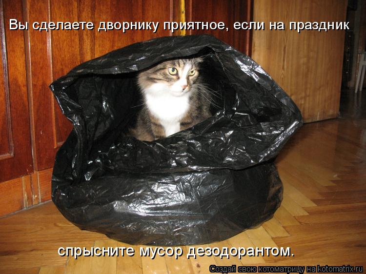 Вы сделаете дворнику приятное, если на праздник спрысните мусор дезодорантом.... Котоматрица: Вы сделаете дворнику приятное, если на праздник спрысните мусор дезодорантом.