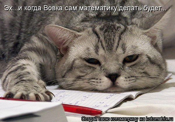 Эх...и когда Вовка сам математику делать будет...... Котоматрица: Эх...и когда Вовка сам математику делать будет...