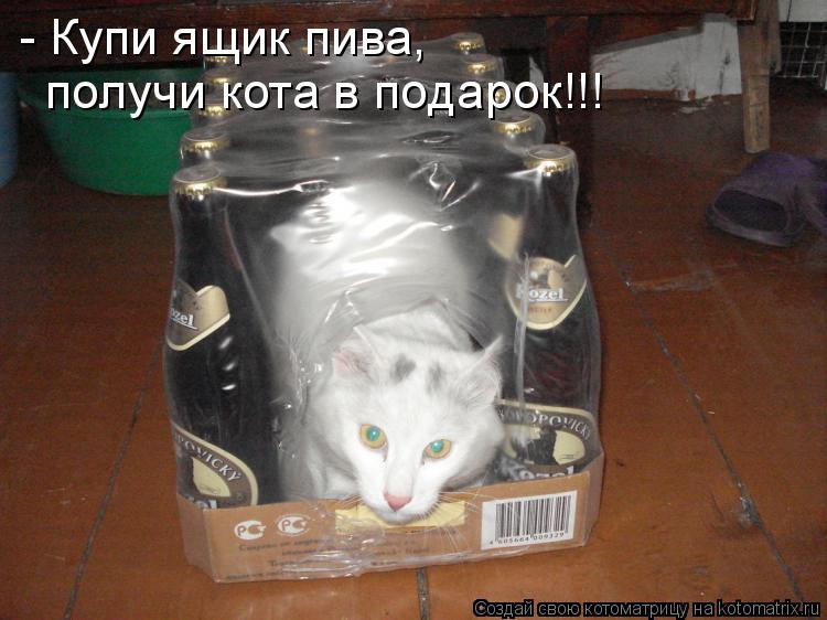 - Купи ящик пива, получи кота в подарок!!!... Котоматрица: - Купи ящик пива, получи кота в подарок!!!