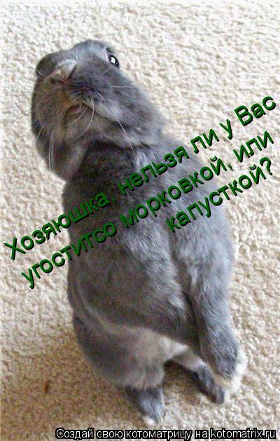 Хозяюшка, нельзя ли у Вас угоститсо морковкой, или капусткой?... Котоматрица: Хозяюшка, нельзя ли у Вас угоститсо морковкой, или капусткой?