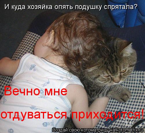 И куда хозяйка опять подушку спрятала? Вечно мне отдуваться приходится!... Котоматрица: И куда хозяйка опять подушку спрятала? Вечно мне отдуваться приходится!