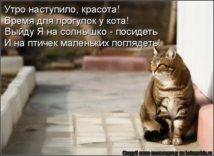 Утро наступило, красота! Время для прогулок у кота! Выйду Я на солнышко - посидеть И на птичек малень... Котоматрица: Утро наступило, красота! Время для прогулок у кота! Выйду Я на солнышко - посидеть И на птичек маленьких поглядеть!
