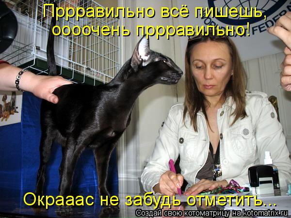 Пррравильно всё пишешь, оооочень пррравильно! Окрааас не забудь отметить...... Котоматрица: Пррравильно всё пишешь, оооочень пррравильно! Окрааас не забудь отметить...