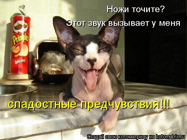 Ножи точите? Этот звук вызывает у меня сладостные предчувствия!!!... Котоматрица: Ножи точите? Этот звук вызывает у меня сладостные предчувствия!!!