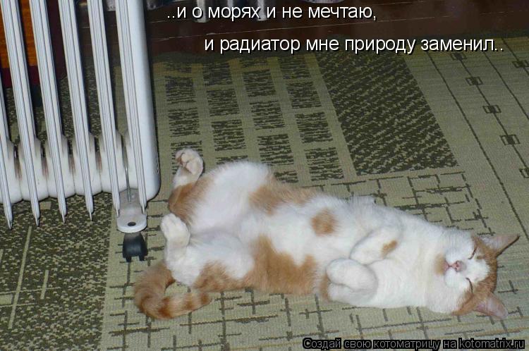 ..и о морях и не мечтаю, и радиатор мне природу заменил..... Котоматрица: ..и о морях и не мечтаю, и радиатор мне природу заменил..