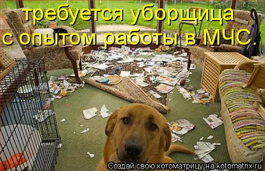 требуется уборщица с опытом работы в МЧС.... Котоматрица: требуется уборщица с опытом работы в МЧС.