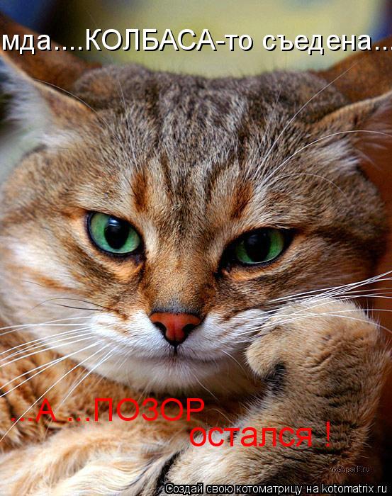 мда....КОЛБАСА-то съедена... остался ! ...А ...ПОЗОР... Котоматрица: мда....КОЛБАСА-то съедена... остался ! ...А ...ПОЗОР