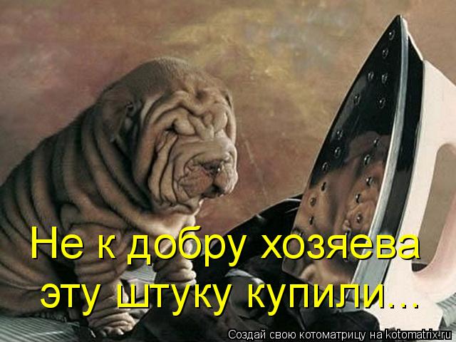 Не к добру хозяева эту штуку купили...... Котоматрица: Не к добру хозяева эту штуку купили...
