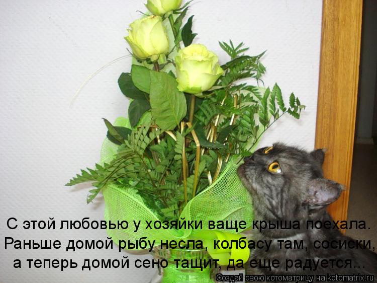 С этой любовью у хозяйки ваще крыша поехала. Раньше домой рыбу несла, колбасу там, сосиски, а теперь ... Котоматрица: С этой любовью у хозяйки ваще крыша поехала. Раньше домой рыбу несла, колбасу там, сосиски, а теперь домой сено тащит, да еще радуется...