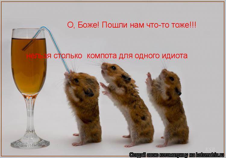 О, Боже! Пошли нам что-то тоже!!! нельзя столько компота для одного идиота... Котоматрица: О, Боже! Пошли нам что-то тоже!!! нельзя столько компота для одного идиота