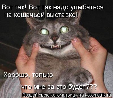 Котоматрица: Вот так! Вот так надо улыбаться на кошачьей выставке! Хорошо, только что мне за это будет???