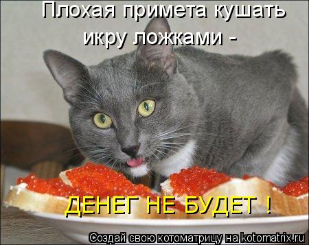 Котоматрица: Плохая примета кушать  икру ложками -  ДЕНЕГ НЕ БУДЕТ !
