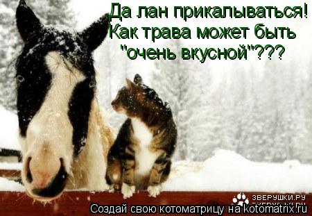 Да лан прикалываться! Как трава может быть "очень вкусной"???... Котоматрица: Да лан прикалываться! Как трава может быть "очень вкусной"???