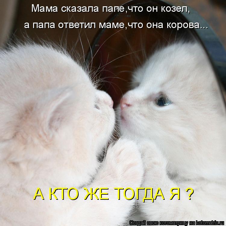 а папа ответил маме,что она корова... А КТО ЖЕ ТОГДА Я ? Мама сказала папе,что он козел,... Котоматрица: а папа ответил маме,что она корова... А КТО ЖЕ ТОГДА Я ? Мама сказала папе,что он козел,
