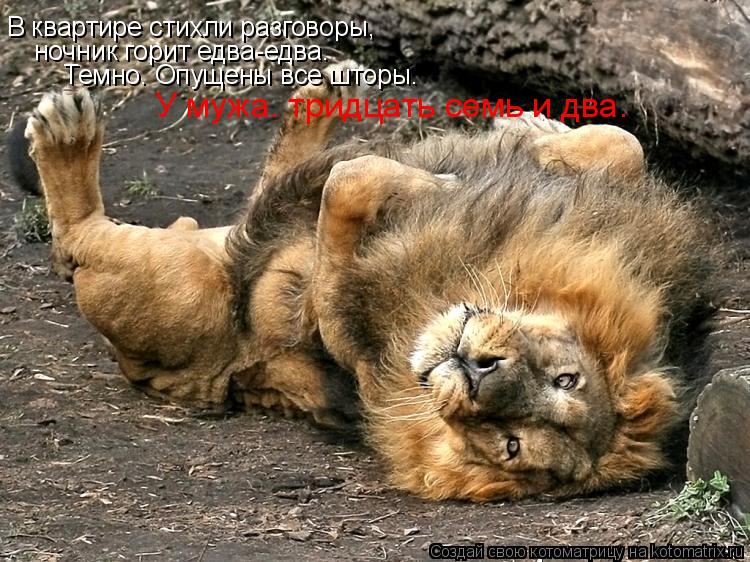 В квартире стихли разговоры, ночник горит едва-едва. Темно. Опущены все шторы. У мужа… тридцать семь ... Котоматрица: В квартире стихли разговоры, ночник горит едва-едва. Темно. Опущены все шторы. У мужа… тридцать семь и два…