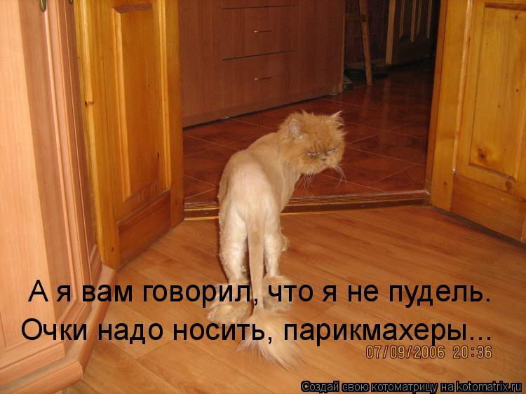 http://kotomatrix.ru/images/lolz/2008/09/16/Md.jpg