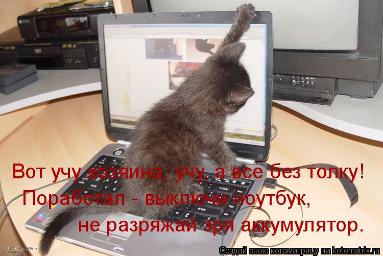 Вот учу хозяина, учу, а все без толку! Поработал - выключи ноутбук, не разряжай зря аккумулятор.... Котоматрица: Вот учу хозяина, учу, а все без толку! Поработал - выключи ноутбук, не разряжай зря аккумулятор.