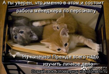 А ты уверен, что именно в этом и состоит работа менеджера по персоналу Ну конечно! Прежде всего надо ... Котоматрица: А ты уверен, что именно в этом и состоит работа менеджера по персоналу Ну конечно! Прежде всего надо изучить личное дело.