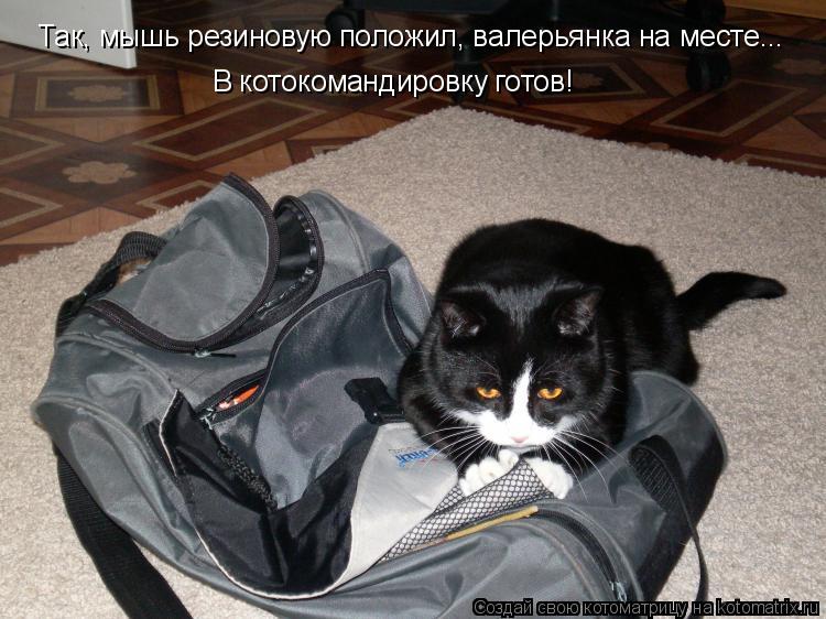 Котоматрица: Так, мышь резиновую положил, валерьянка на месте... В котокомандировку готов!