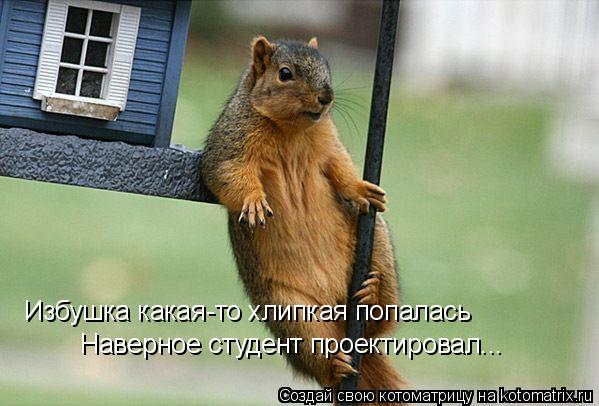 Избушка какая-то хлипкая попалась Наверное студент проектировал...... Котоматрица: Избушка какая-то хлипкая попалась Наверное студент проектировал...