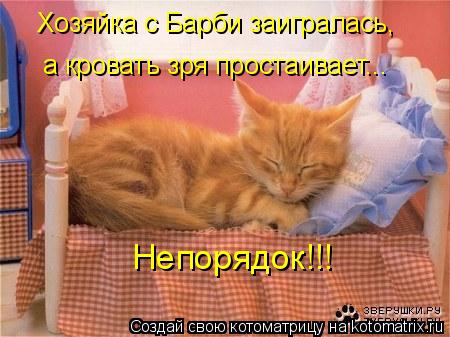 Хозяйка с Барби заигралась, а кровать зря простаивает... Непорядок!!!... Котоматрица: Хозяйка с Барби заигралась, а кровать зря простаивает... Непорядок!!!