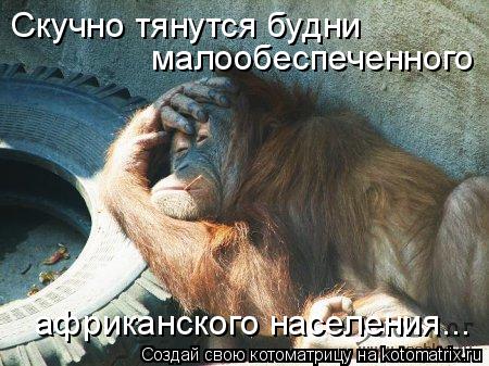 Скучно тянутся будни малообеспеченного африканского населения...... Котоматрица: Скучно тянутся будни малообеспеченного африканского населения...
