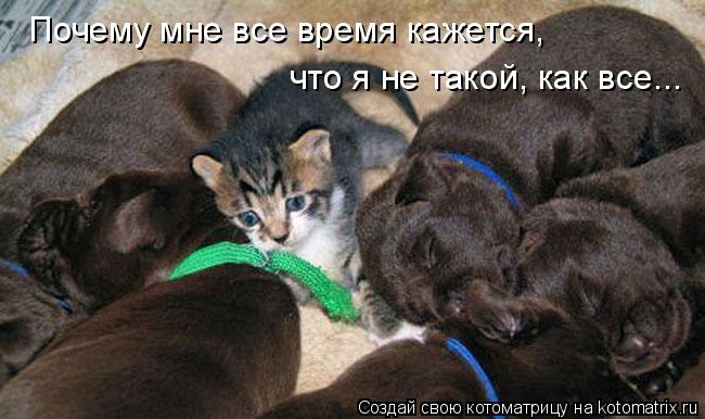 Почему мне все время кажется, что я не такой, как все...... Котоматрица: Почему мне все время кажется, что я не такой, как все...