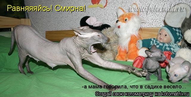 Равняяяйсь! Смирна! -а мама говорила, что в садике весело...... Котоматрица: Равняяяйсь! Смирна! -а мама говорила, что в садике весело...