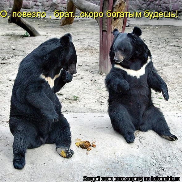 О, повезло , брат...скоро богатым будешь!... Котоматрица: О, повезло , брат...скоро богатым будешь!