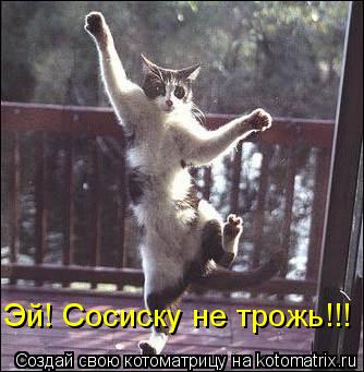 Эй! Сосиску не трожь!!!... Котоматрица: Эй! Сосиску не трожь!!!