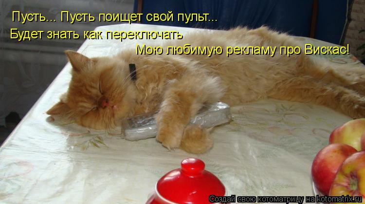 Пусть... Пусть поищет свой пульт... Будет знать как переключать Мою любимую рекламу про Вискас!... Котоматрица: Пусть... Пусть поищет свой пульт... Будет знать как переключать Мою любимую рекламу про Вискас!