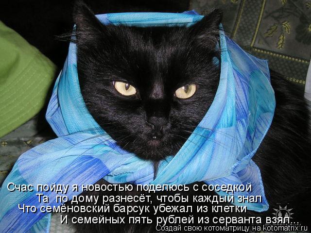 Счас пойду я новостью поделюсь с соседкой Та по дому разнесёт, чтобы каждый знал Что семёновский бар... Котоматрица: Счас пойду я новостью поделюсь с соседкой Та по дому разнесёт, чтобы каждый знал Что семёновский барсук убежал из клетки И семейных пять ру